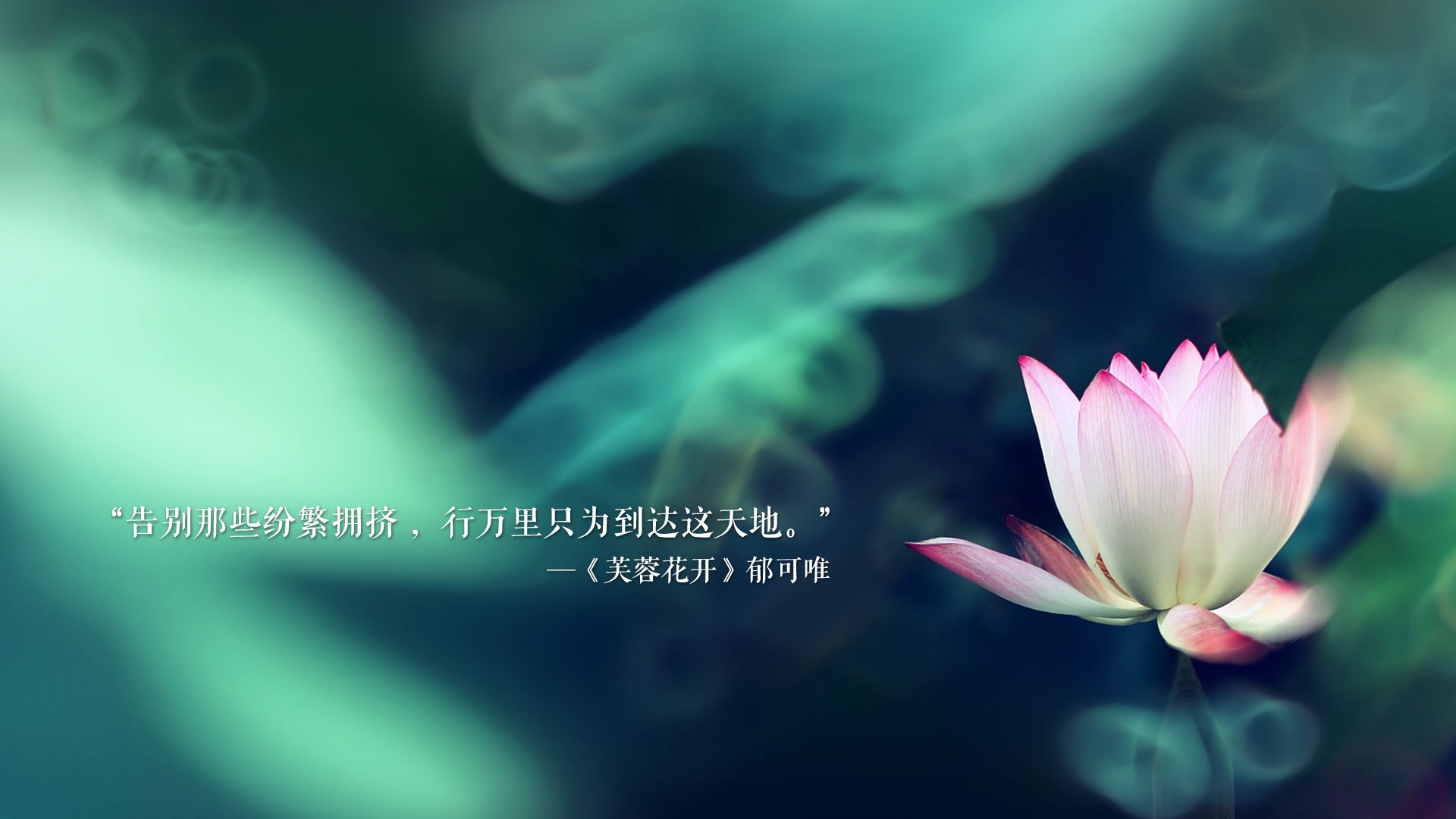 爱游戏直播-现场氛围：球迷喝彩不断，气氛热烈！，球迷聚会发言