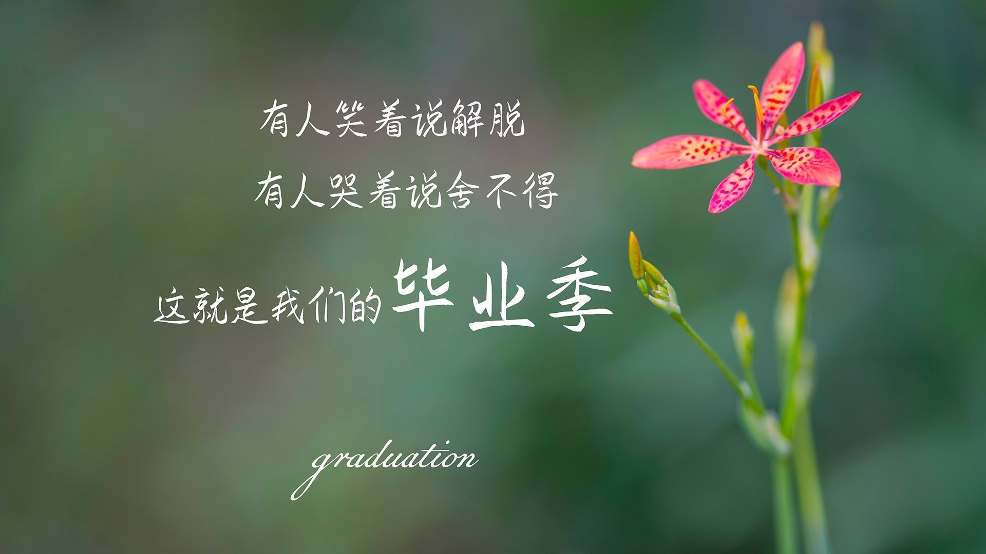 爱游戏娱乐平台-马赛夺得法国杯，球队士气高涨，法国马赛历史