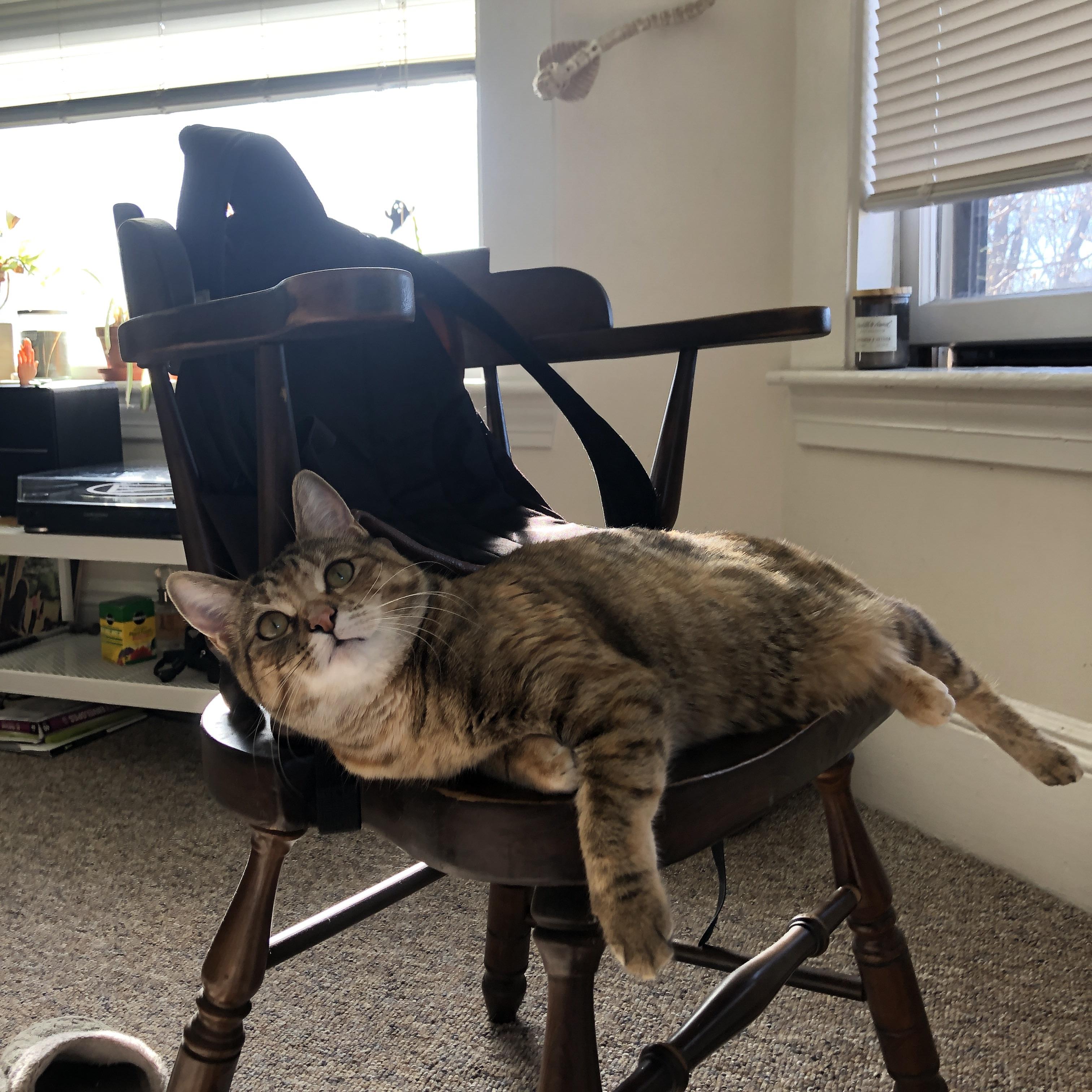 爱游戏线上-博洛尼亚召开紧急会议讨论球队未来发展,博洛尼亚转入球员