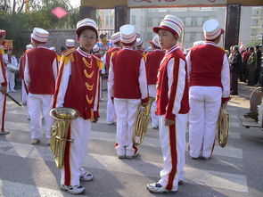 爱游戏娱乐平台-世界青少年武术运动会中国队夺得多项荣誉,青少年武术冠军