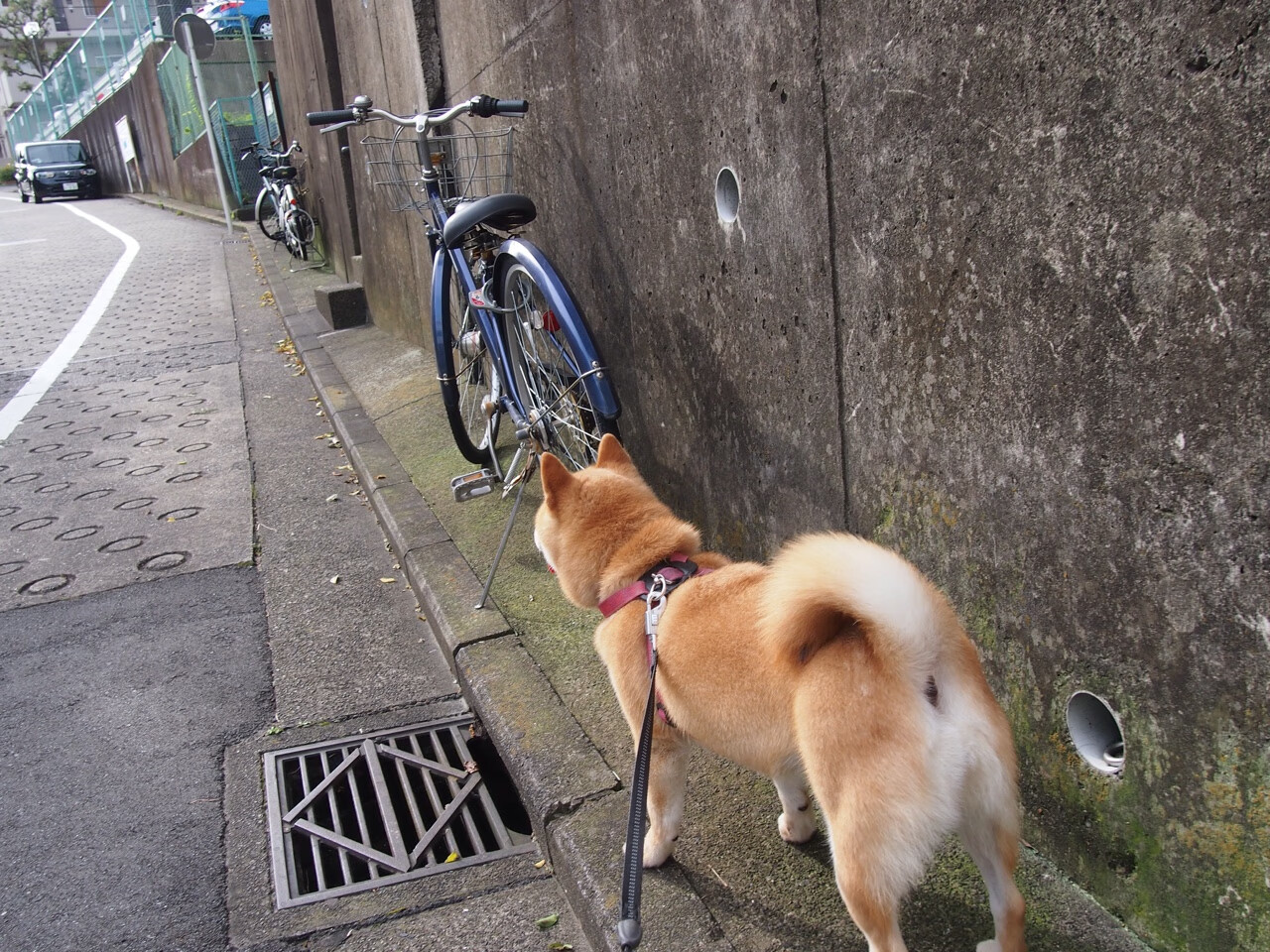 爱游戏智能平台-体育赛事转播质量用户满意度调查,体育赛事转播涉及哪些知识产权