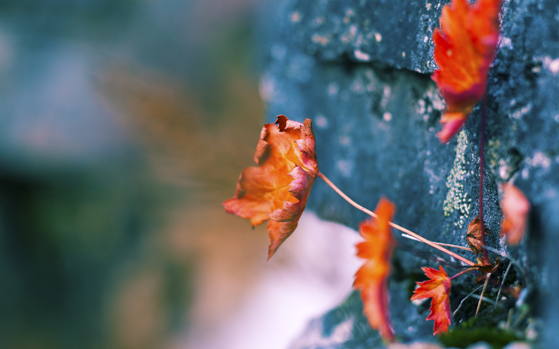 爱游戏智能平台-体育赛事转播质量用户满意度调查,体育赛事转播涉及哪些知识产权