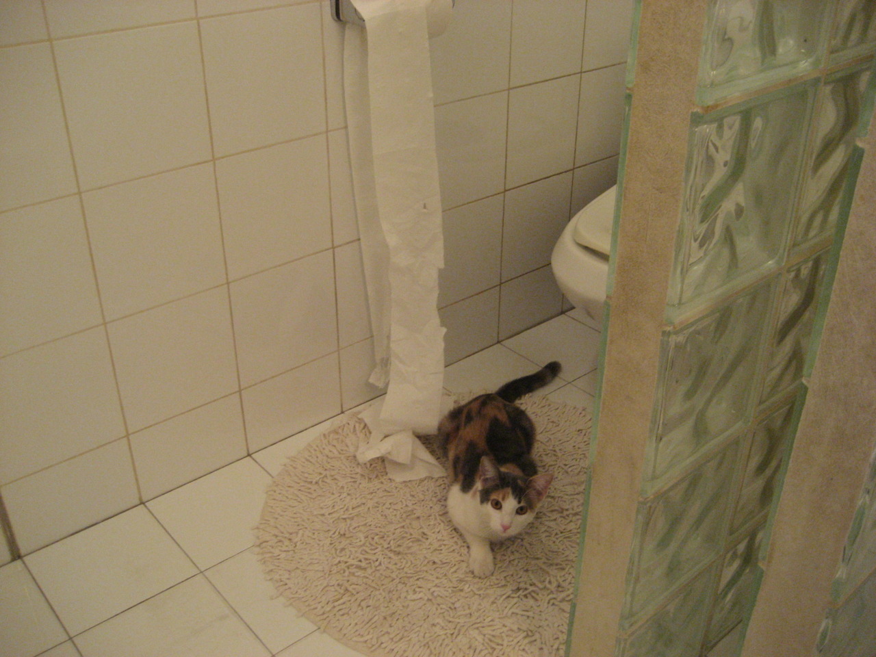 爱游戏首页入口-篮球运动员训练负荷监控与疲劳管理技术,篮球运动负荷设计教案