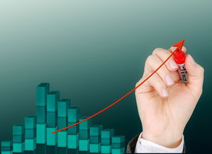 AYX爱游戏中国-赛事管理平台开发,赛事运行服务