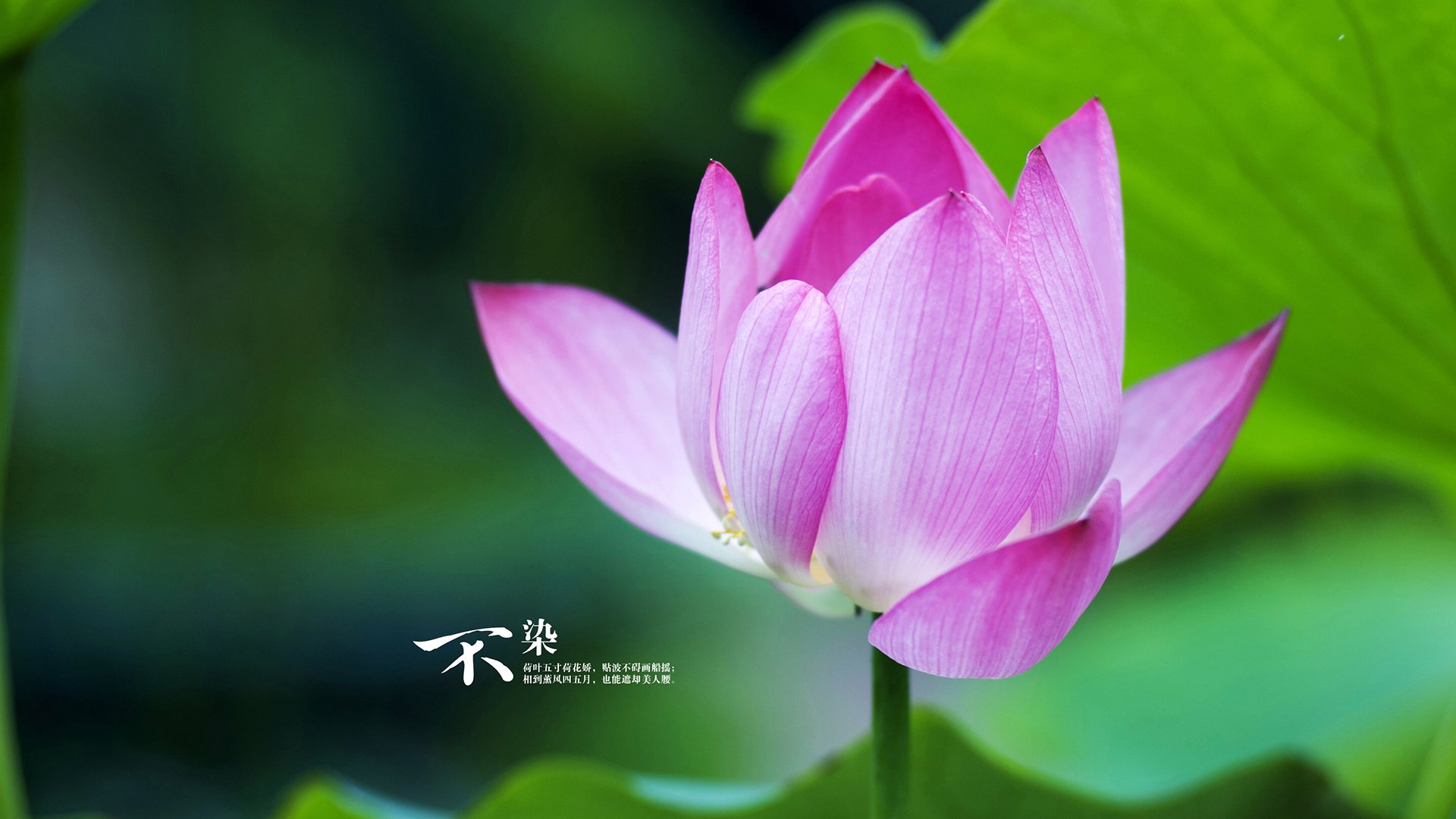 爱游戏多端接入-CBA联盟制定新规鼓励青年球员上场,cba俱乐部青年队球员合同怎么签