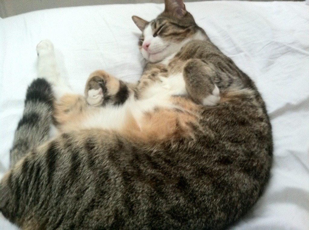 爱游戏官方-五大联赛是否在逐步削弱传统中锋作用,五大联赛会不会再次停摆