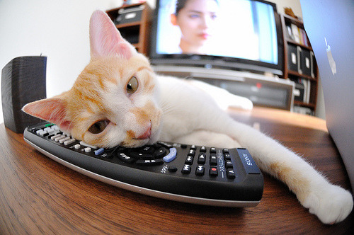 爱游戏手机版-印度队未来发展:打破国内外乒乓壁垒,迈向世界舞台,印度乒乓球联赛