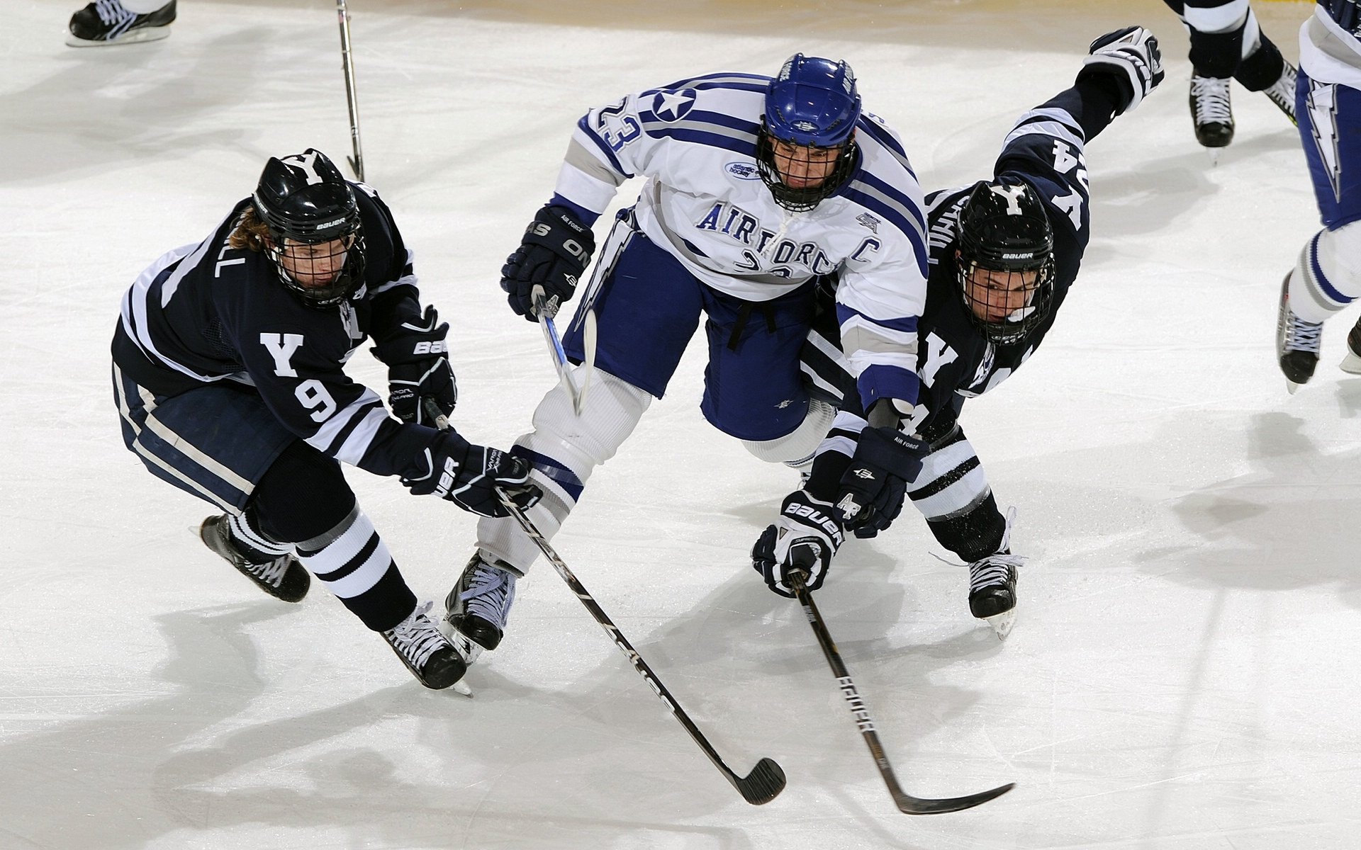 _运动康复展：科技助力运动员伤后修复_，设计一份运动员损伤康复方案